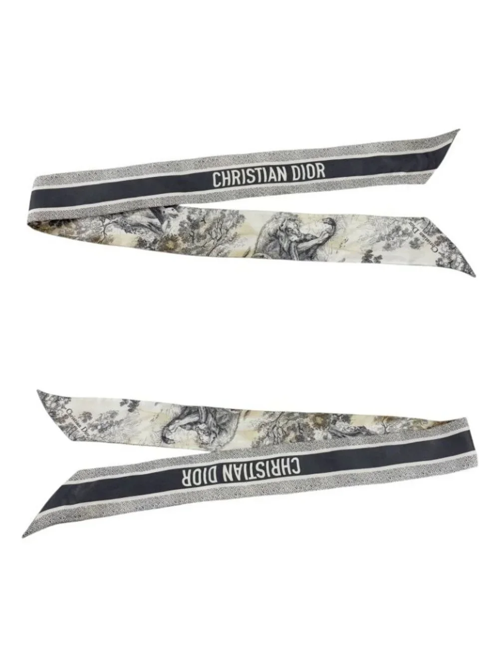 Dior Mizza Toile de Jouy Sauvage Scarf